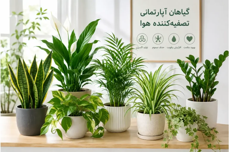 گیاهان آپارتمانی تصفیه‌ کننده هوا