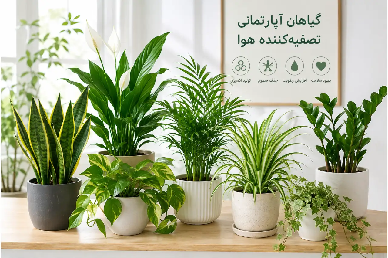 تصفیه‌ کننده هوا