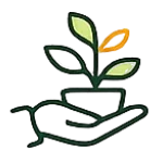نگهداری از گیاه