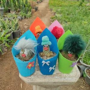 کاکتوس عروسکی