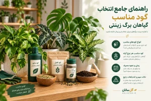 کود مناسب گیاهان برگ زینتی