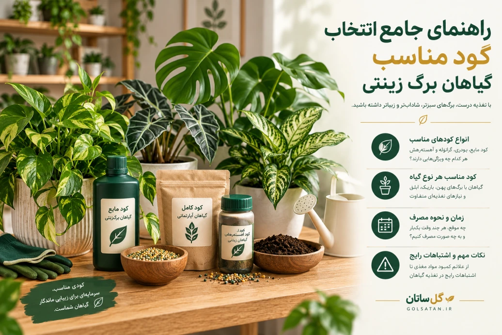 راهنمای جامع انتخاب کود مناسب گیاهان برگ‌ زینتی