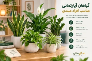 گیاهان آپارتمانی مناسب افراد مبتدی