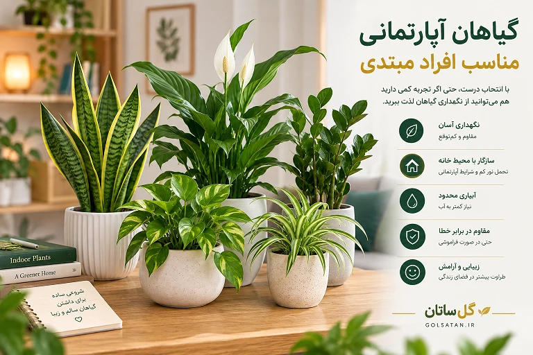 گیاهان آپارتمانی مناسب افراد مبتدی