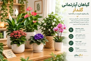 گیاهان آپارتمانی گلدار