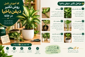 روش تکثیر دیفن باخیا
