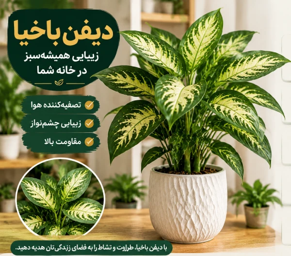 گیاه دیفن بخیا